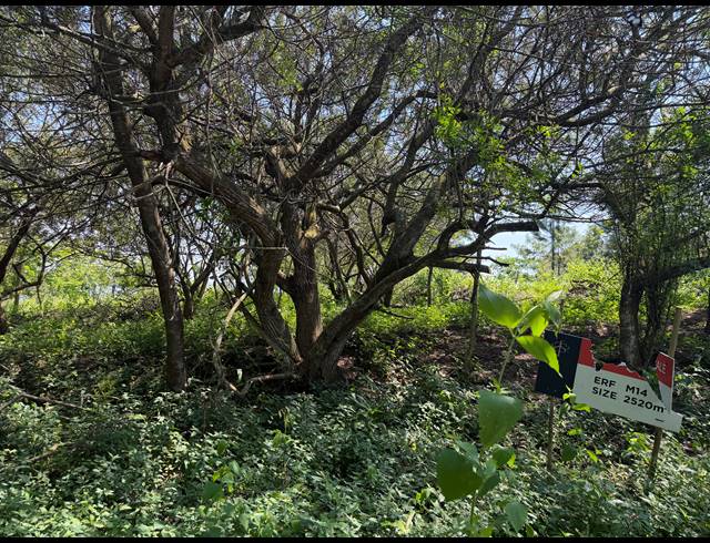 2,520M² VACANT LAND FOR SALE IN SEATON ESTATE